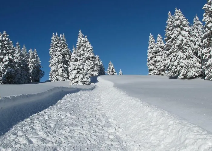 Bellevue Centre, Wifi, Mountain View Appartamento Les Carroz d'Araches