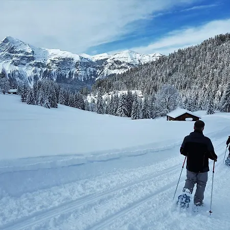 Bellevue Centre, Wifi, Mountain View Appartamento Les Carroz d'Araches