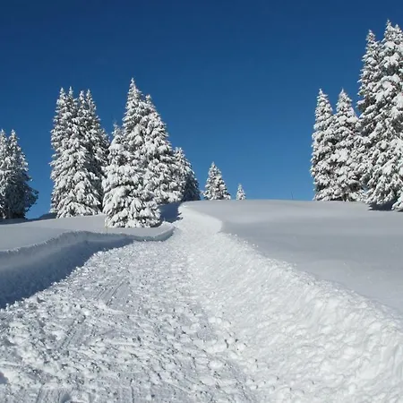 Bellevue Centre, Wifi, Mountain View Apartment Les Carroz d'Araches